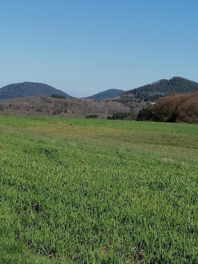 Вилла Air Paix Le Mont Herpelmont Экстерьер фото